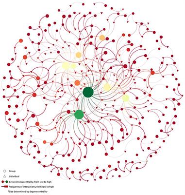 Mapping social movements momentum: unveiling networks in the movement for the right to abortion in Mexico